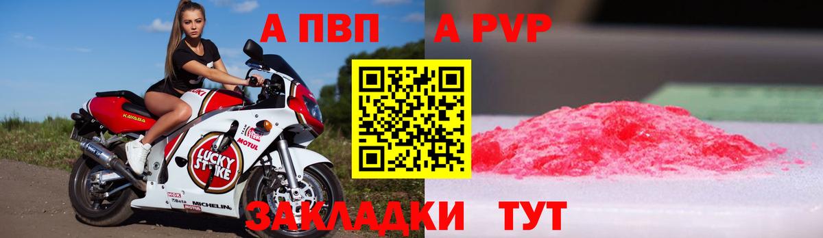 A PVP СК КРИС Будённовск