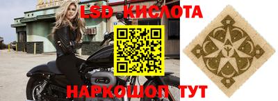 Альфа ПВП Можга