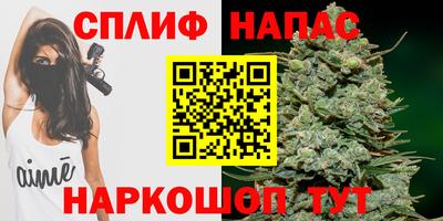 Альфа ПВП Можга