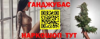 Альфа ПВП Можга