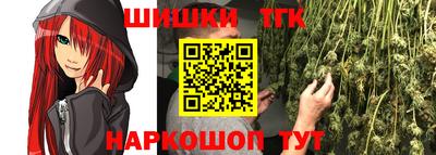 Альфа ПВП Можга