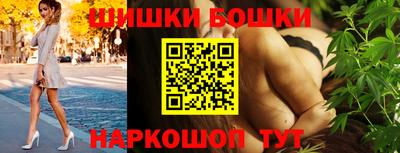 Альфа ПВП Можга